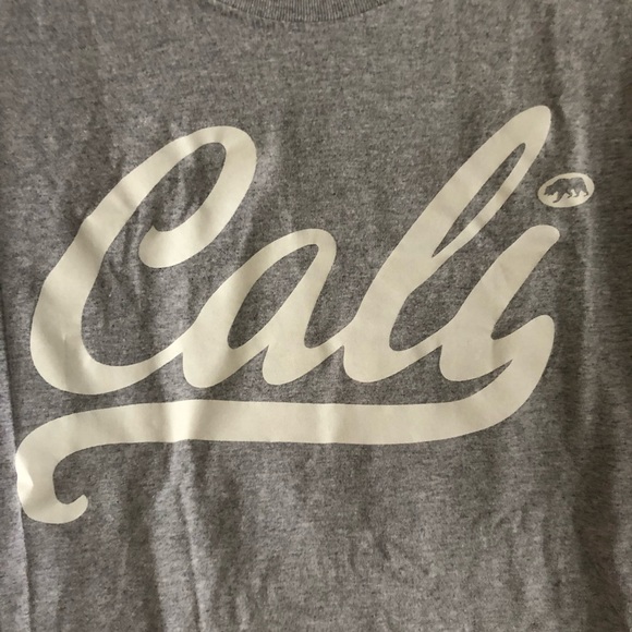 Gray Cropped California T-shirt - Picture 3 of 4